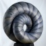 Spiral Torus