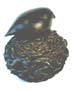 Bird on Nest