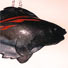 Carp-2